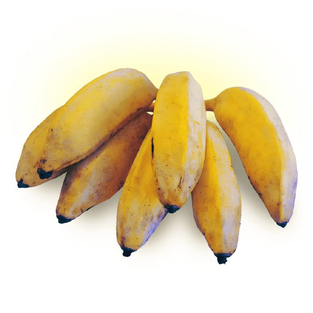 Banana Figo