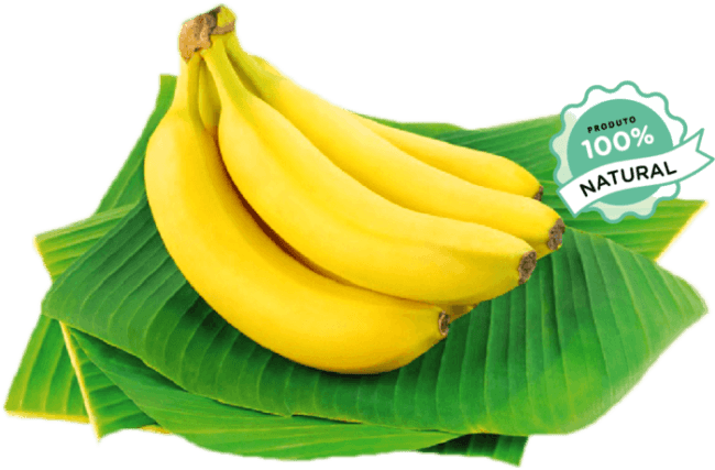 Bananas produto 100 por cento natural